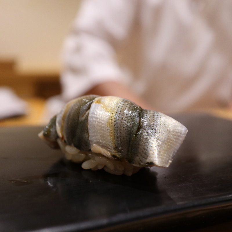 新子(鮨はしもと)