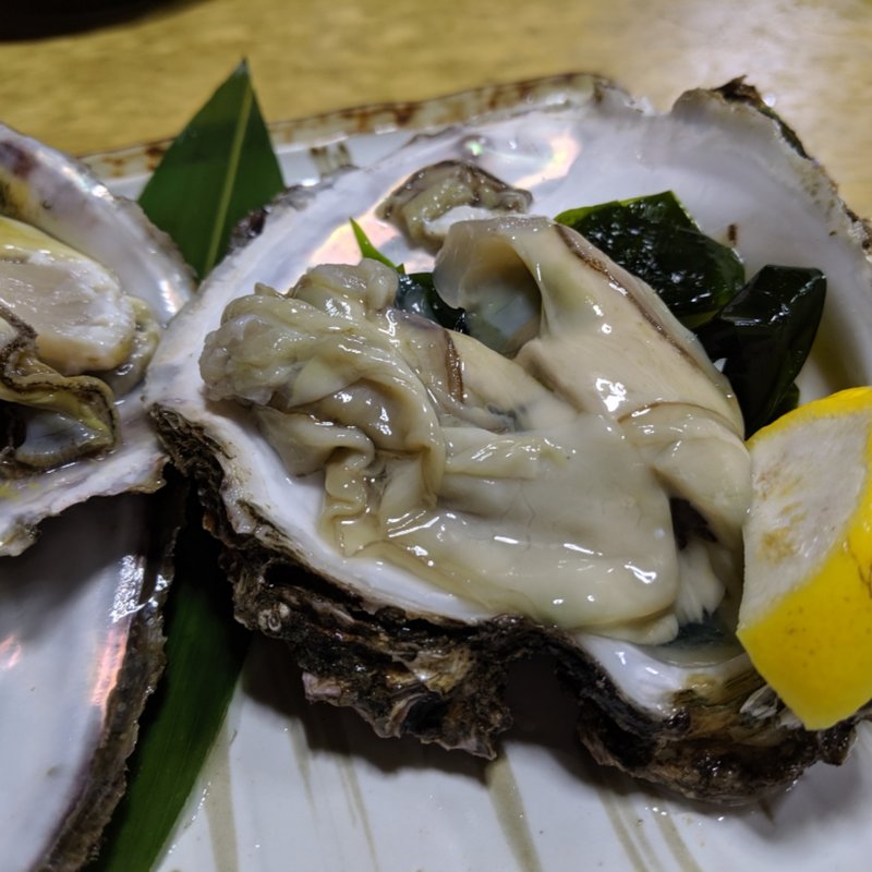 天然岩かき(遊魚 （ゆうぎょ）)