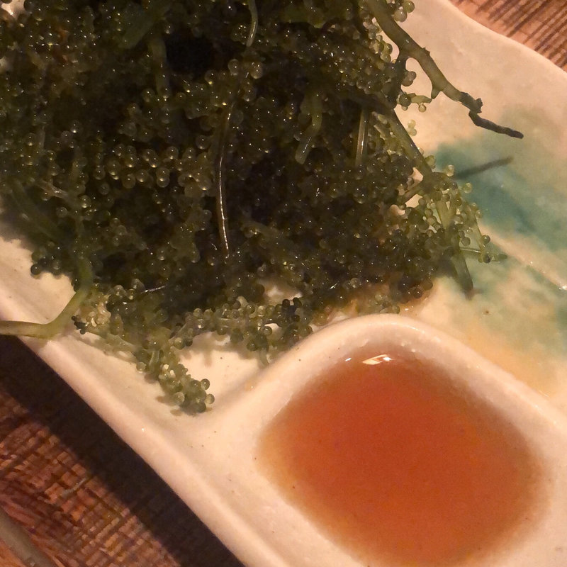 海ぶどう(ニライカナイうぶや)