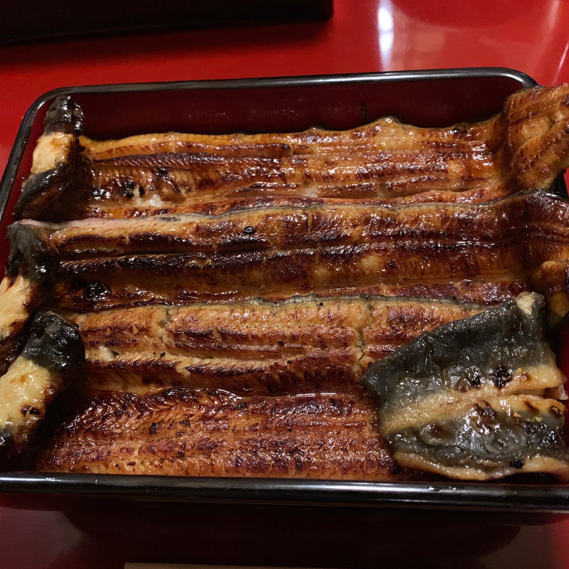 鰻重(うなぎ割烹 大江戸)