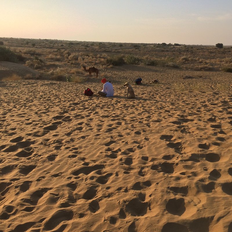 (リサバル セロ)