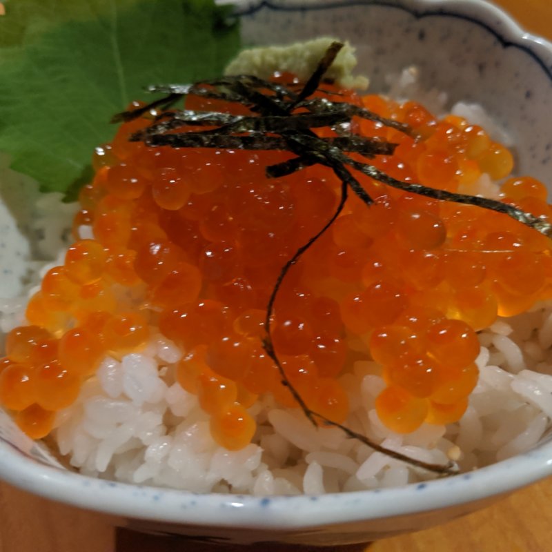 知床ウトロのイクラ丼(国民宿舎 桂田 )
