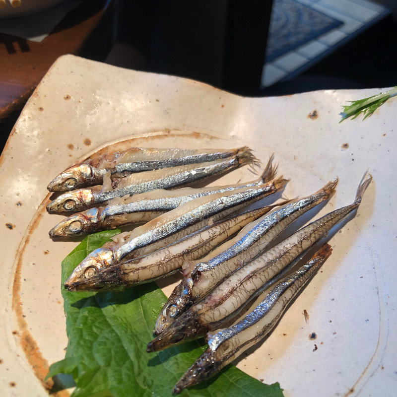 キビナゴ(梅田日本酒隠れ家リール食堂)