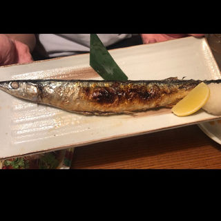 秋刀魚(魚金 4号店)