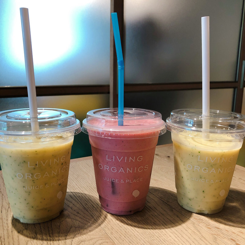 マンゴー&ミントヨーグルトフローズン(リビング オーガニクス)