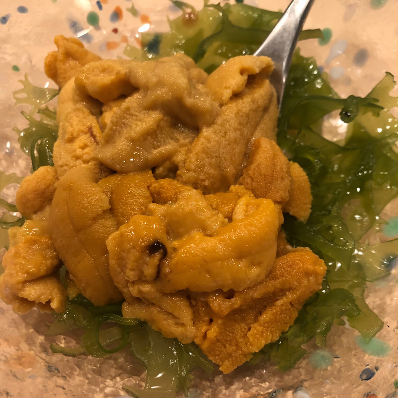 雲丹(すし屋の野八(のはち))