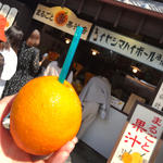 生搾りオレンジジュース(まるごと果汁店)
