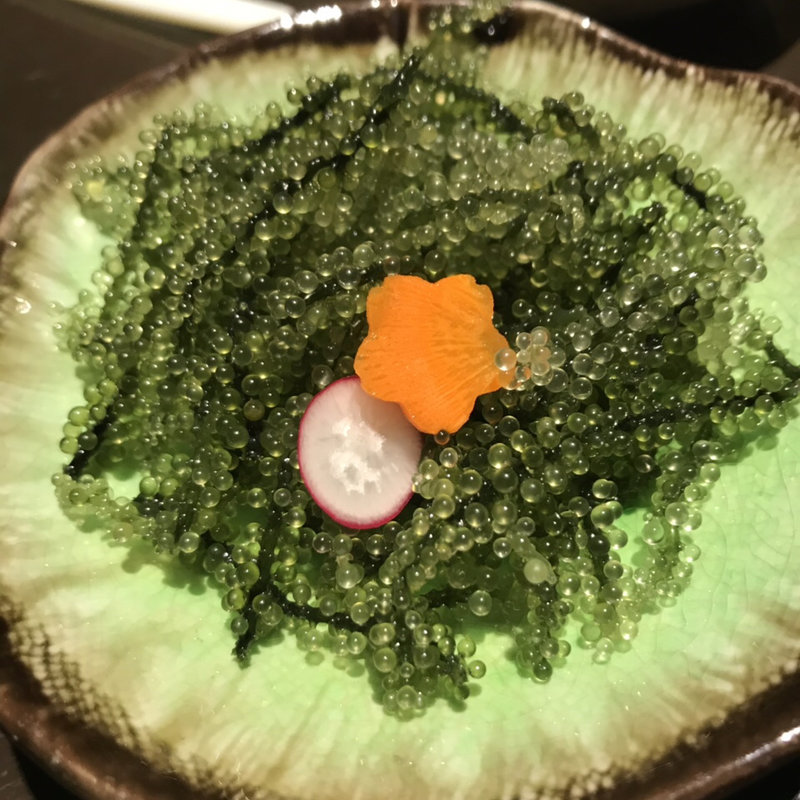 海ぶどう(恩納つばき )