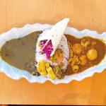 今週のカレー （モツとキンカンのカレー）