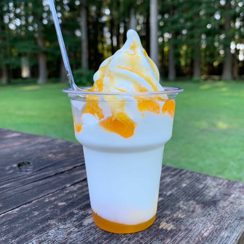 ヨーグルトフロート(千本松牧場売店 )