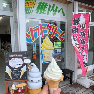 稚内牛乳ソフト(氷雪の門売店 )