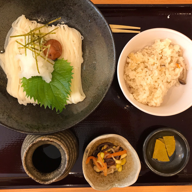 梅しそおろしうどん(心から)