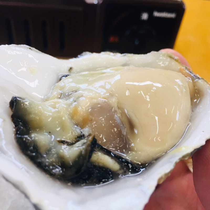 仙鳳趾産 中居向さんの「生牡蠣」(かき小屋 匠ちゃん （【旧店名】匠）)