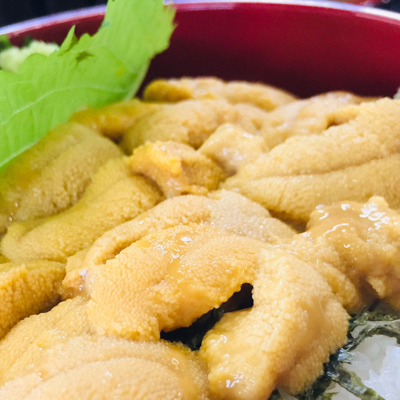 鹿児島県のウニを使ったメニューbest30 1ページ目