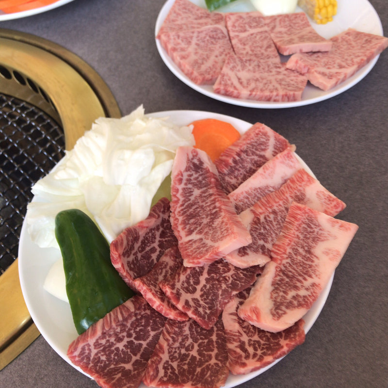 スタミナセット(町田バーネット牧場 )