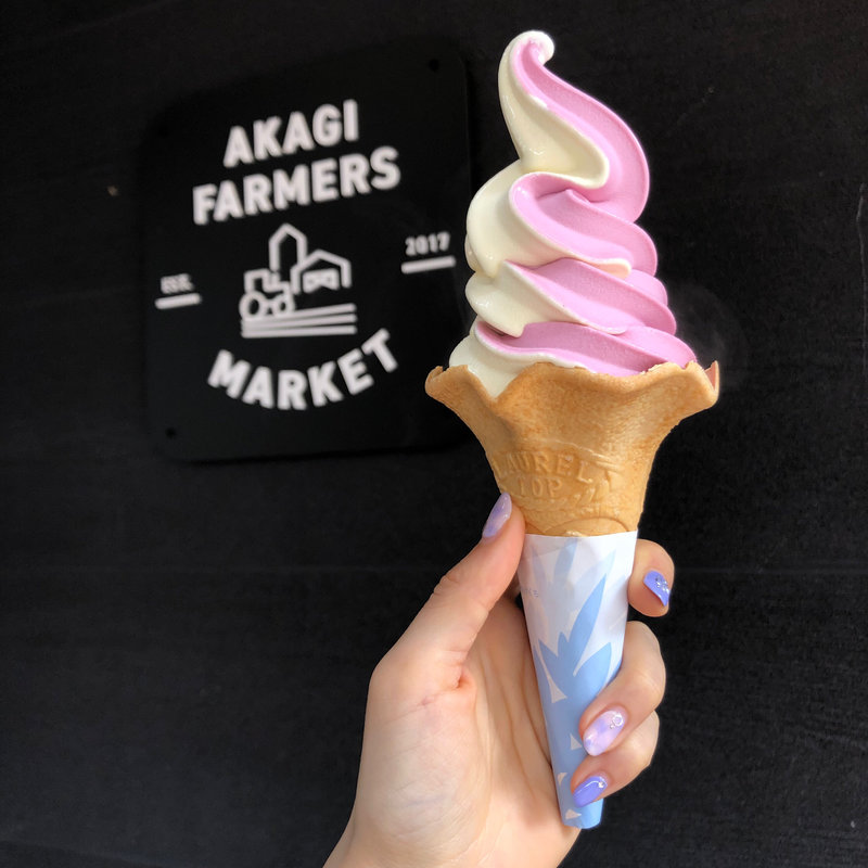 赤城高原プレミアムソフトバニラ×ブルーベリーソフトミックス(大和屋 赤城高原SA店)