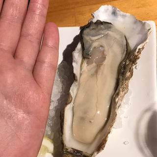 (oyster&wine kitchen K)