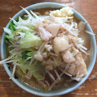 小ラーメン(ラーメン二郎 八王子野猿街道店 ２ )