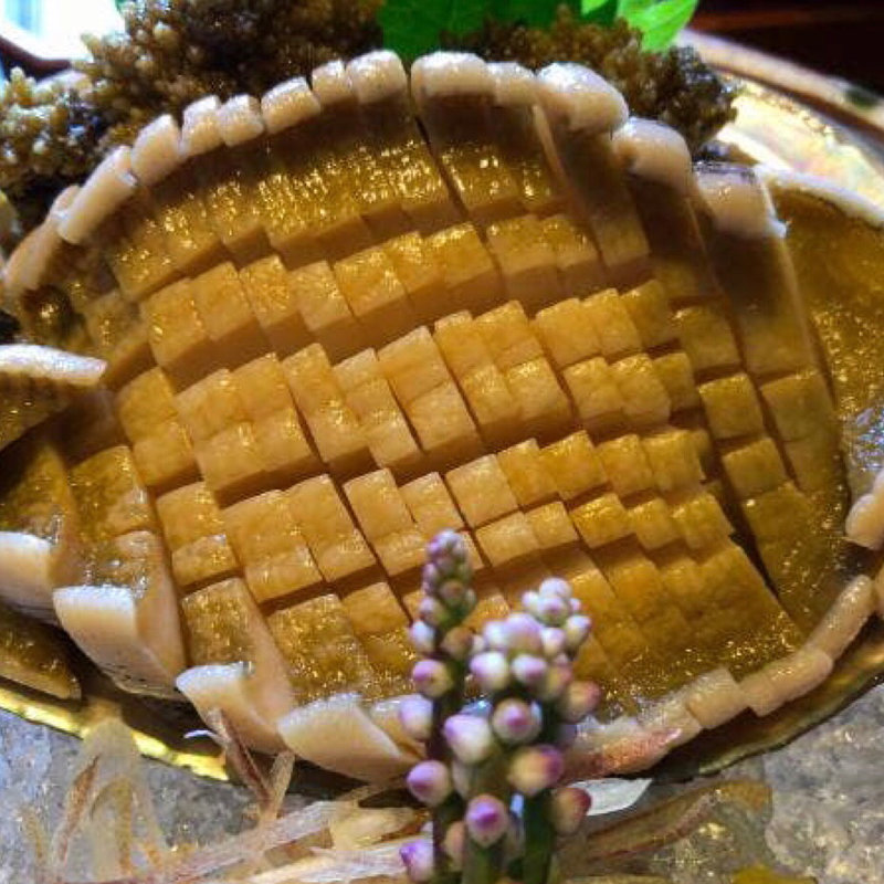 特大鮑の刺身(越前蟹の坊 三国港店 )