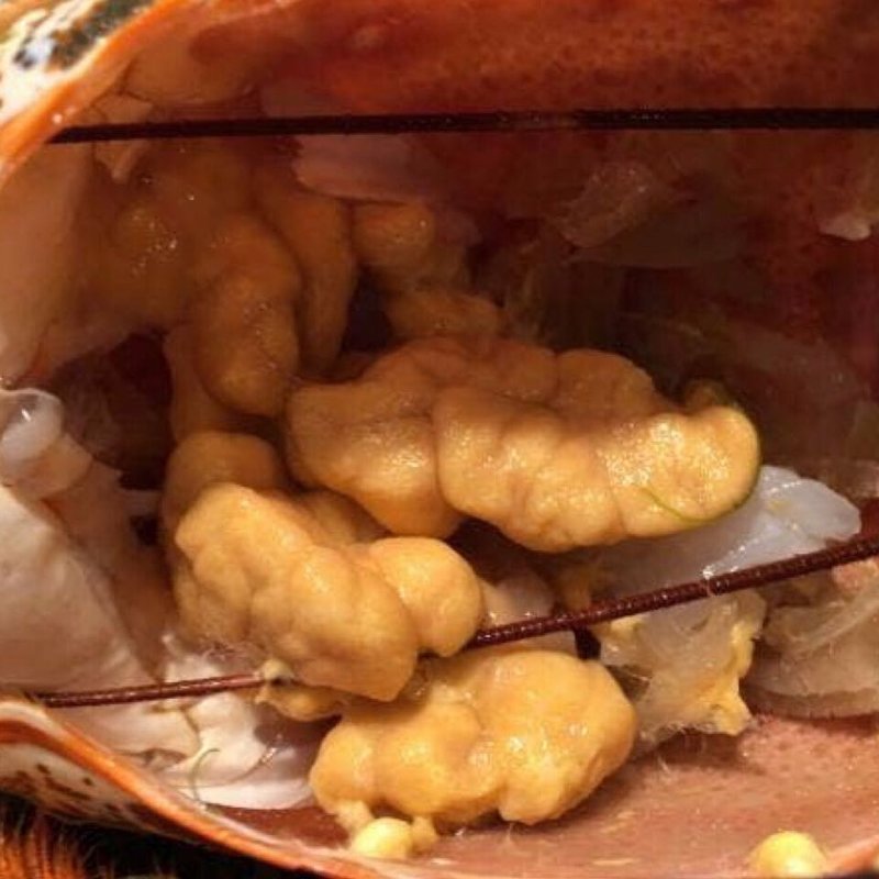 伊勢海老頭味噌(鮨割烹 羽月)