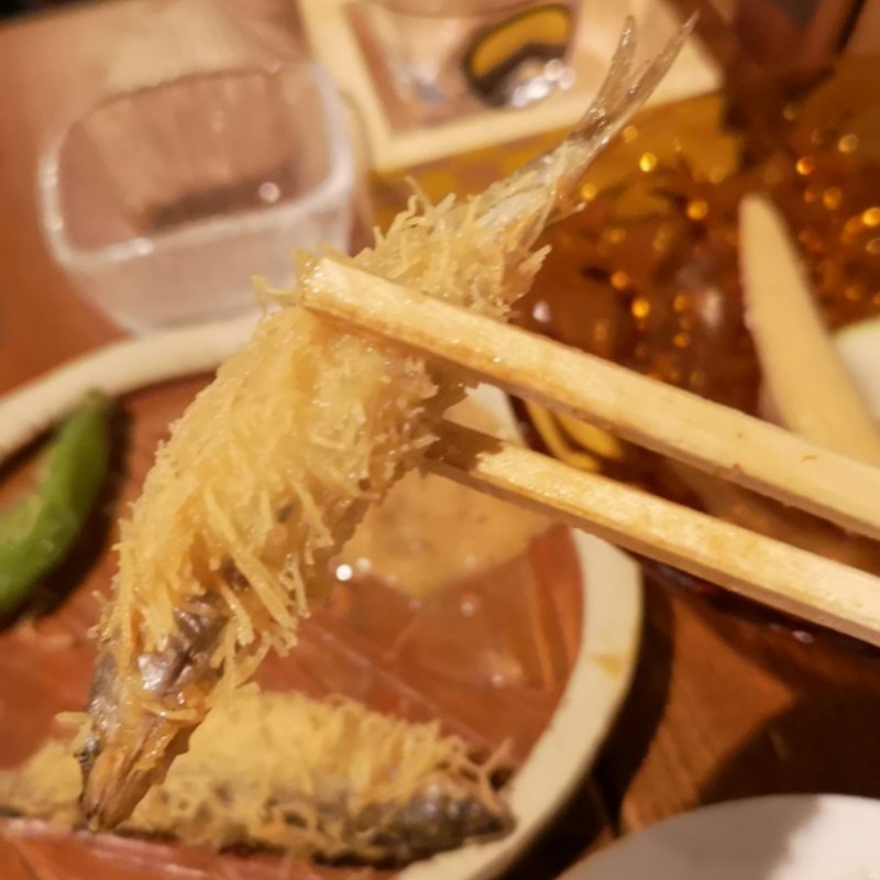 稚鮎のカダイフ揚げ(Akatsuki no Kura（アカツキノクラ）)