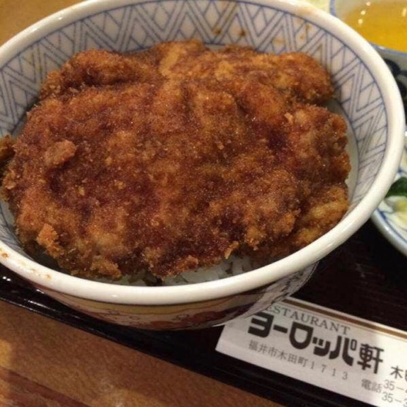 パリ丼(ヨーロッパ軒 木田分店 )