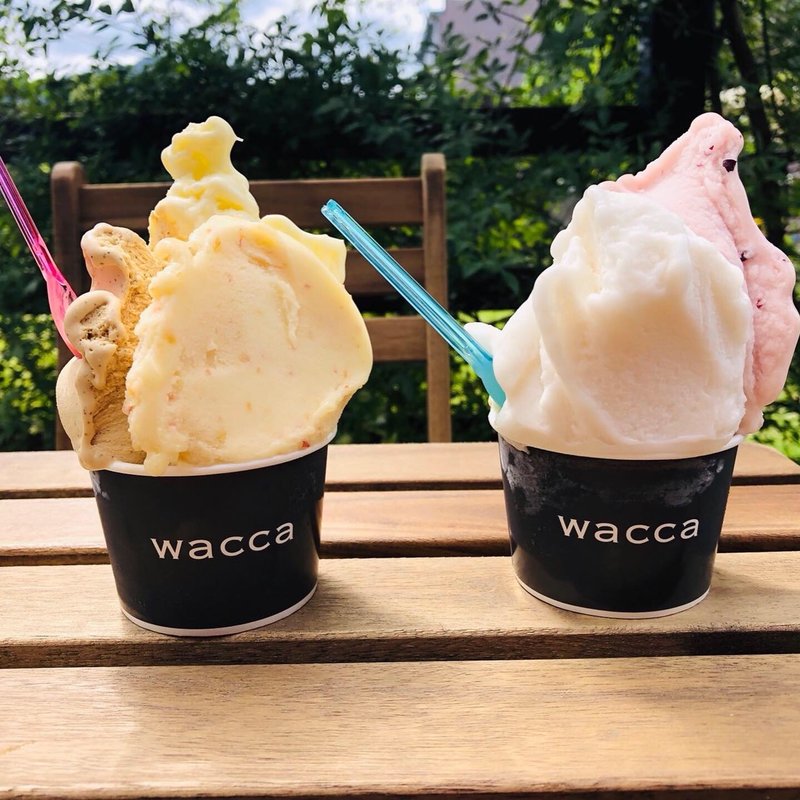 盛りジェラートM(wacca)