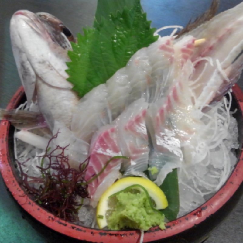 真鯛のお造り(釣船茶屋 ざうお 横浜綱島店)