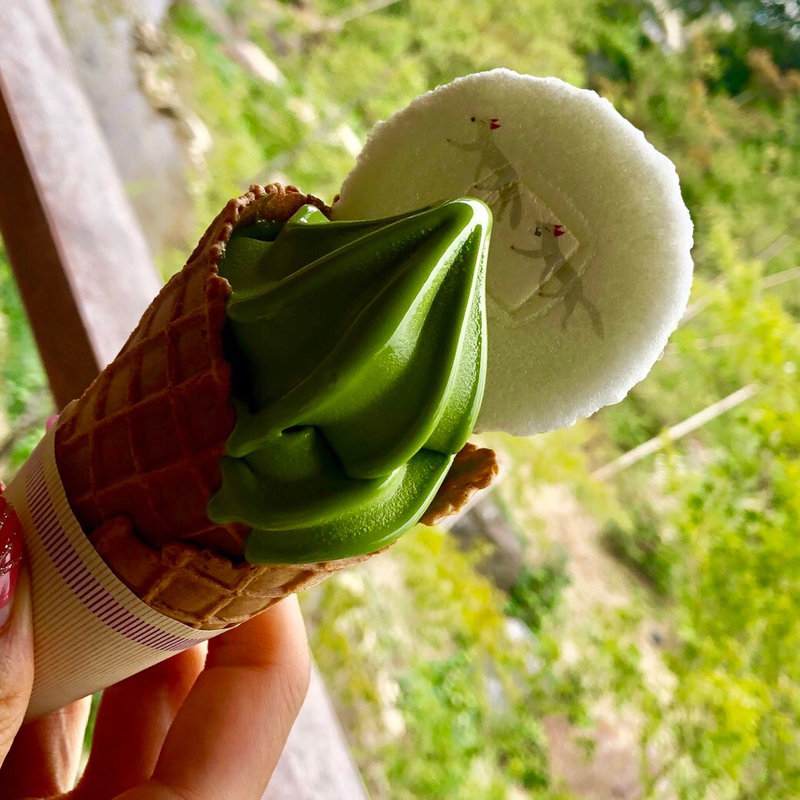 濃い抹茶ソフトクリーム(稲荷茶寮)