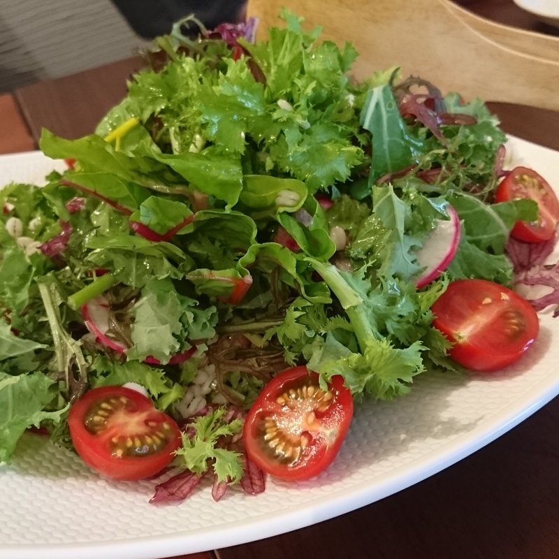 サラダ(櫟の樹)