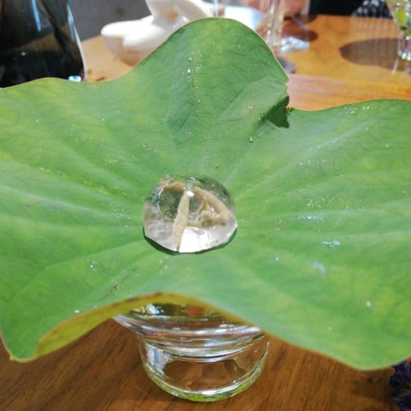 朝霧(セララバアド)