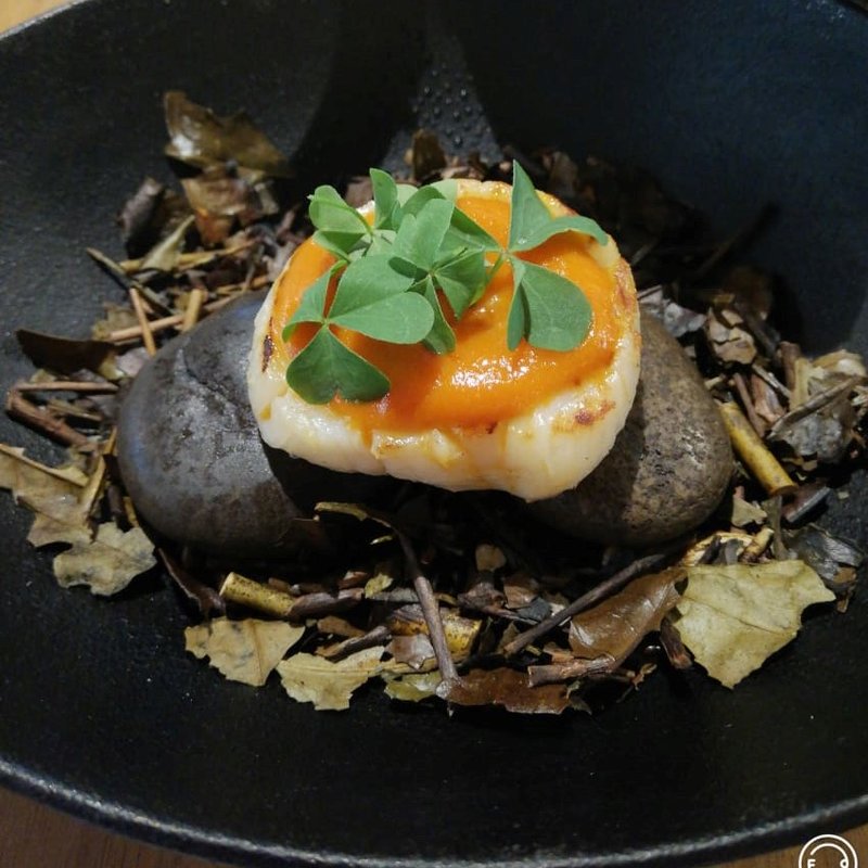 海　森　循環(セララバアド)