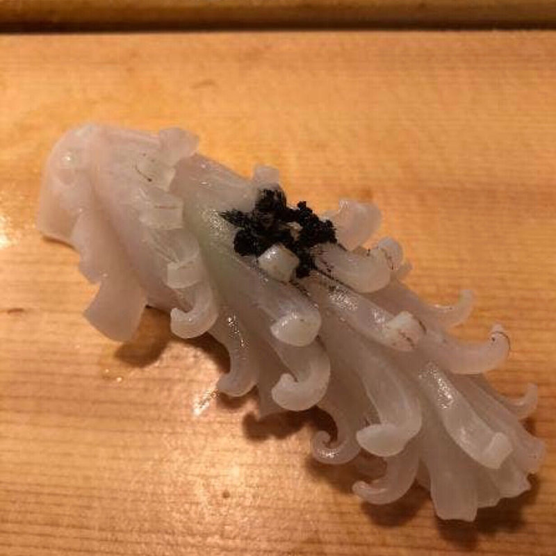 アオリイカ(秀徳 3号店)