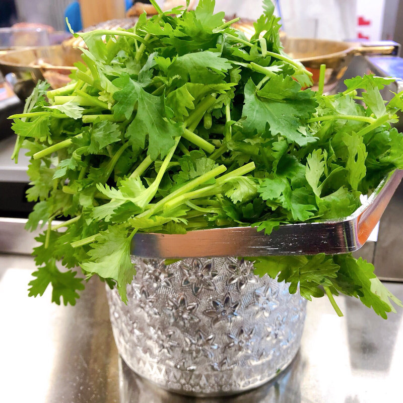 バケツパクチー(タイ屋台 999 梅田店 （カオカオカオ）)