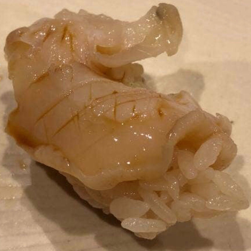 福井越前町バイ貝(鮨 十兵衛)