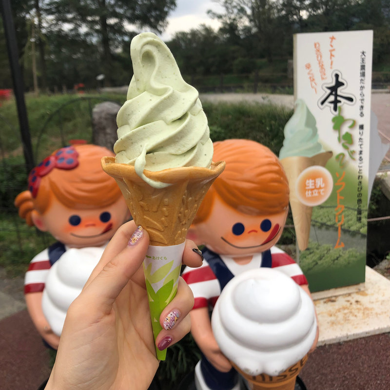 山葵ソフト(大王わさび農場)