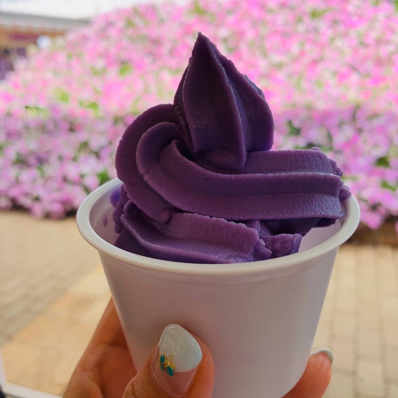 藤の花ソフトクリーム(あしかがフラワーパーク)