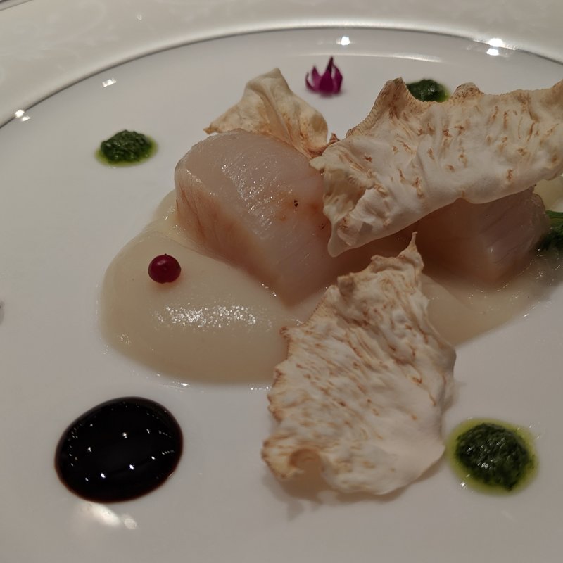 根セロリのピューレにのせた帆立貝のポアレ　バルサミコとバジルの香り(三笠会館本店)