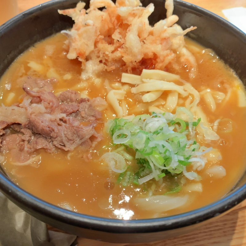 かき揚げチーズカレーうどん(山半 本店)