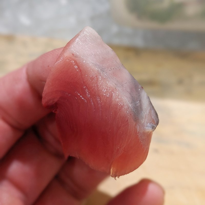 トロ鰹刺身(香華)