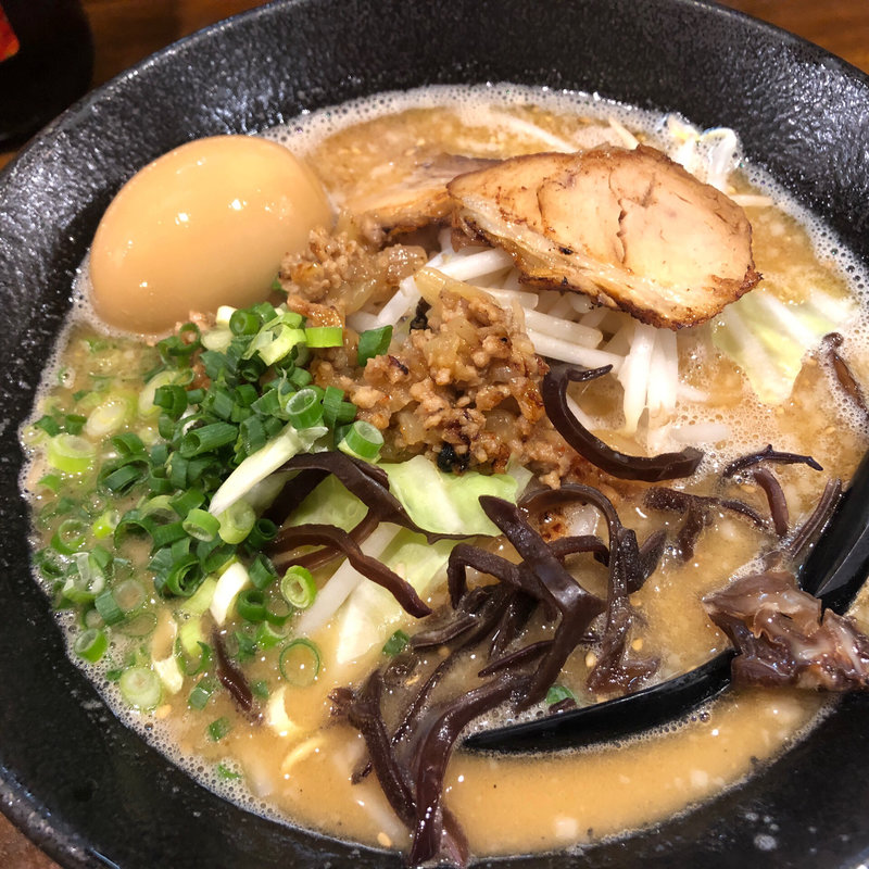 味噌とんこつ半熟味玉子らあめん(どん きさろく 八柱店 （九州らあめん どんきさろく）)