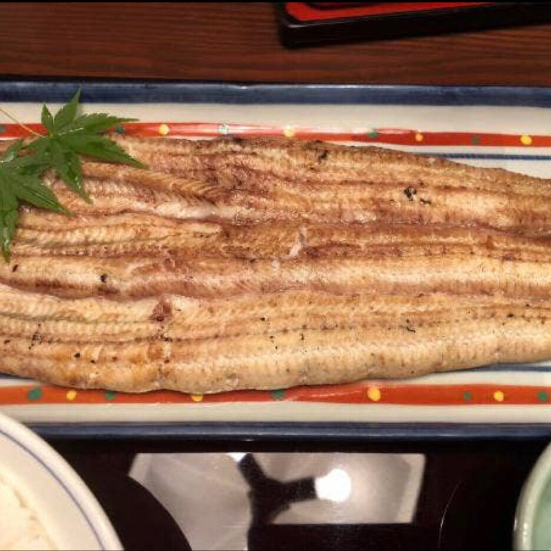 白焼き(神田きくかわ 日比谷店)