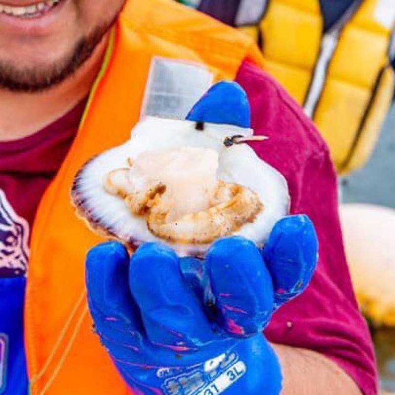 ホタテのバター醤油焼き(Standing Wine Bar bevi)