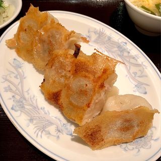 自家特製餃子定食(新橋玲玲餃子)