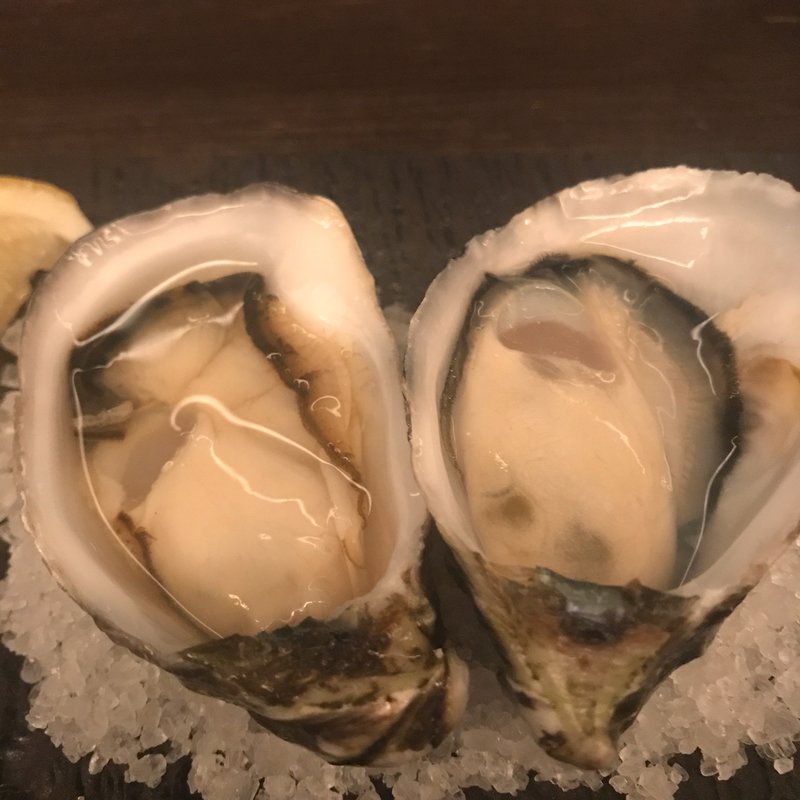 TAS産キャッツアイオイスター(Banksia)