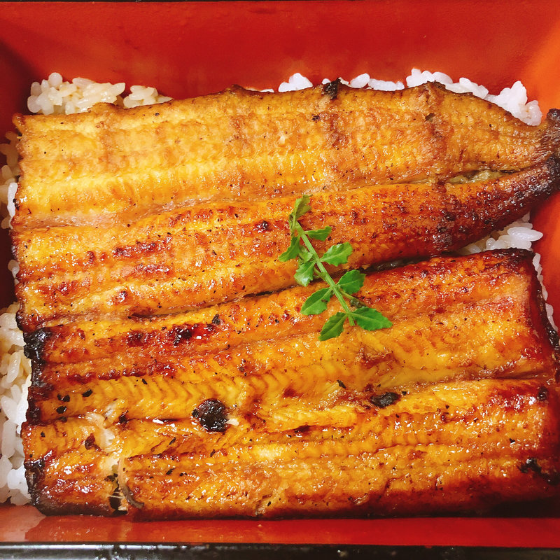 うふ重 特上(新宿うな鐵 （うなてつ）)