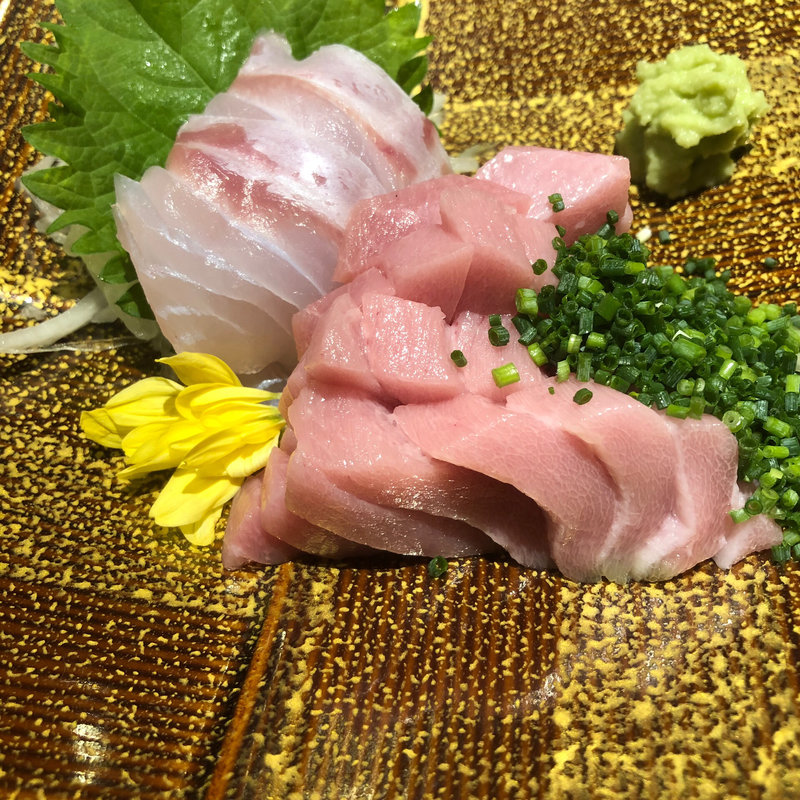 本鮪とクエ(燈火)