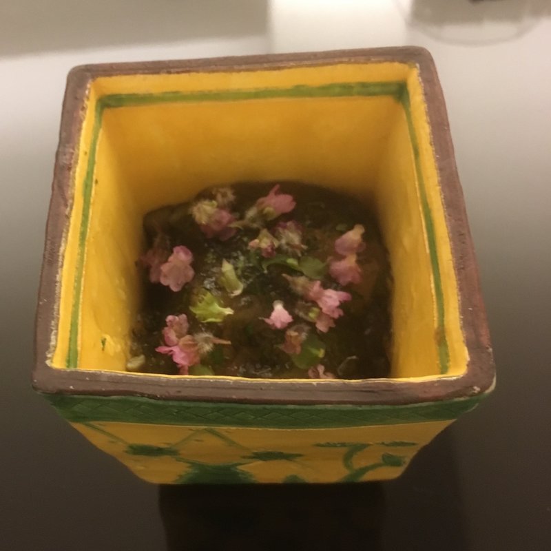 (日本料理 晴山)