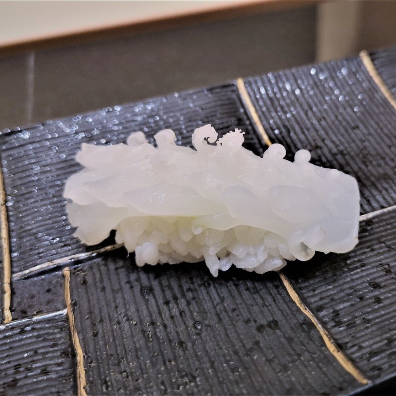 剣先イカ(HANA-GOYOMI JAPANESE RESTAURANT)