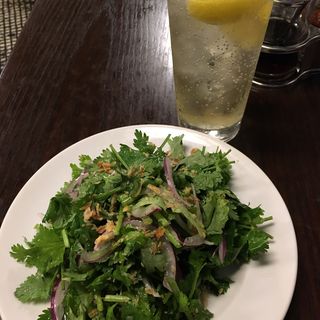 パクチーサラダ(マンゴツリーカフェ 上野)